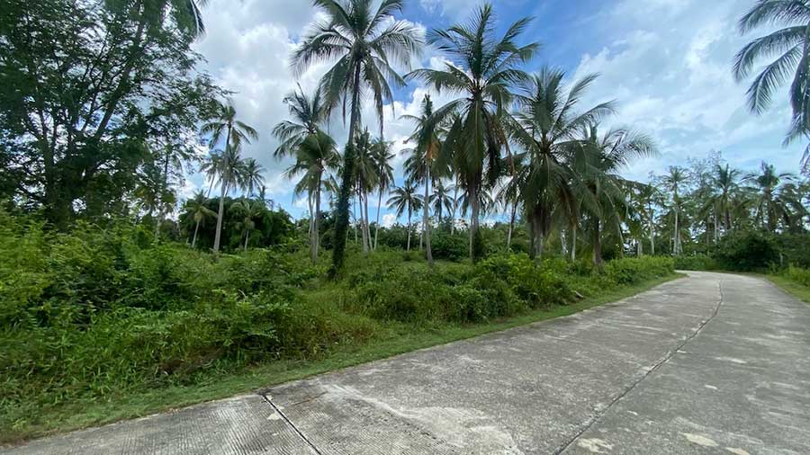 3,200 Sqm of Flat Land in Lipa Noi